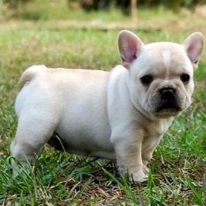 Meet your Posher, Abigail